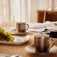 فنجان القهوة ديفاين مع صحنه رمادي برناردو فنجان القهوة ديفاين مع صحنه رمادي