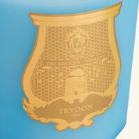 trudon versailles candle 2 8kg