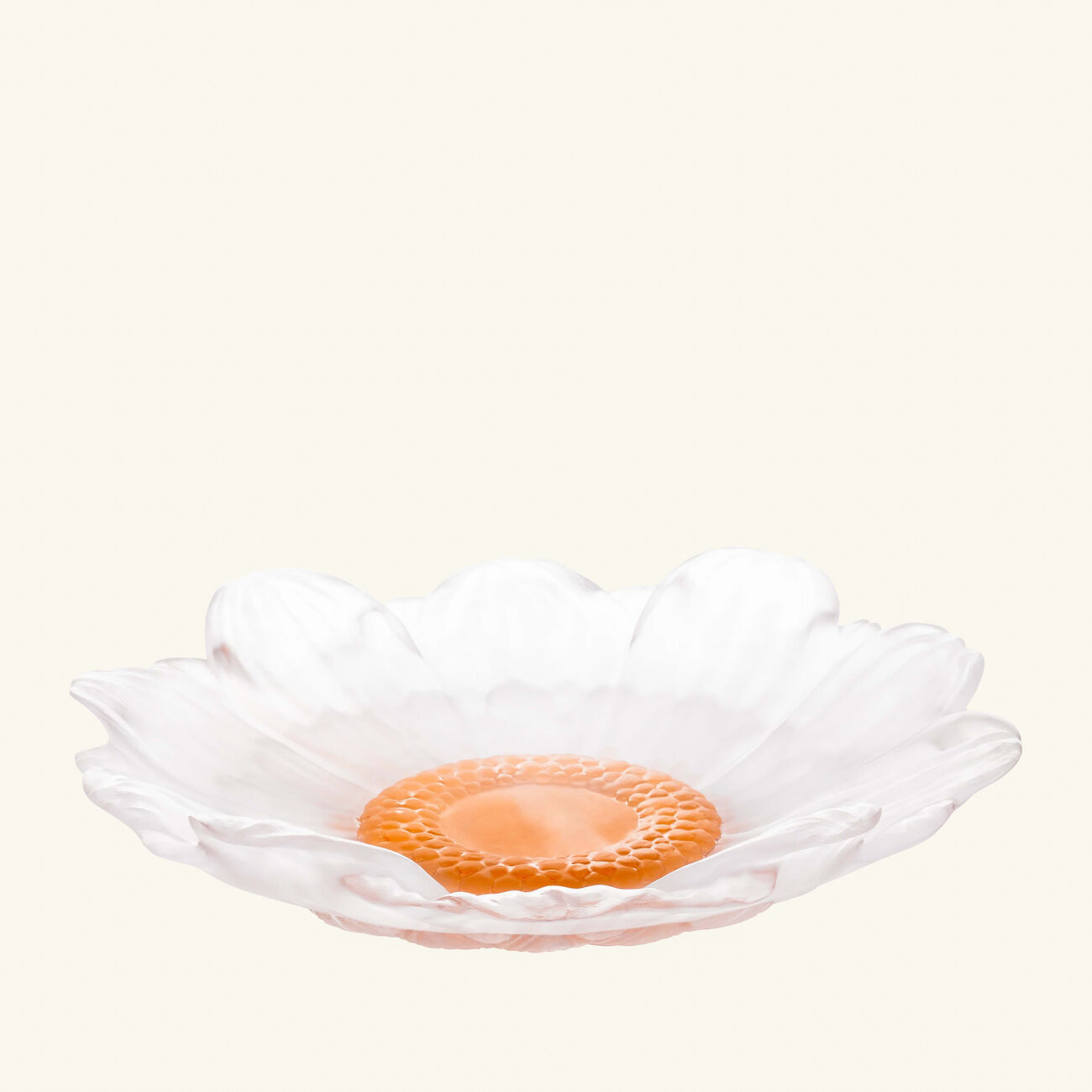 daum or d abeille presentation flower white medium