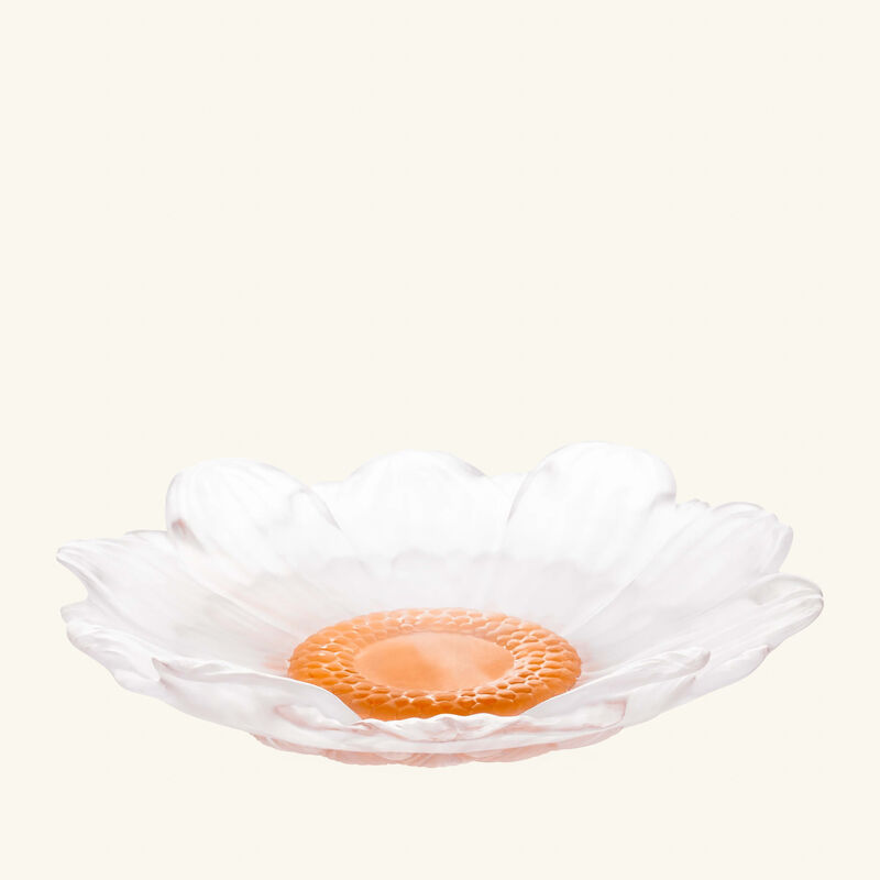 daum or d abeille presentation flower white medium