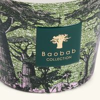 baobab collection sacred trees touba candle max 10