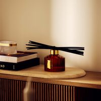 trudon altair diffuser 1000 ml