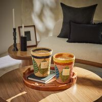 baobab collection ravintsara hanitra candle max 24