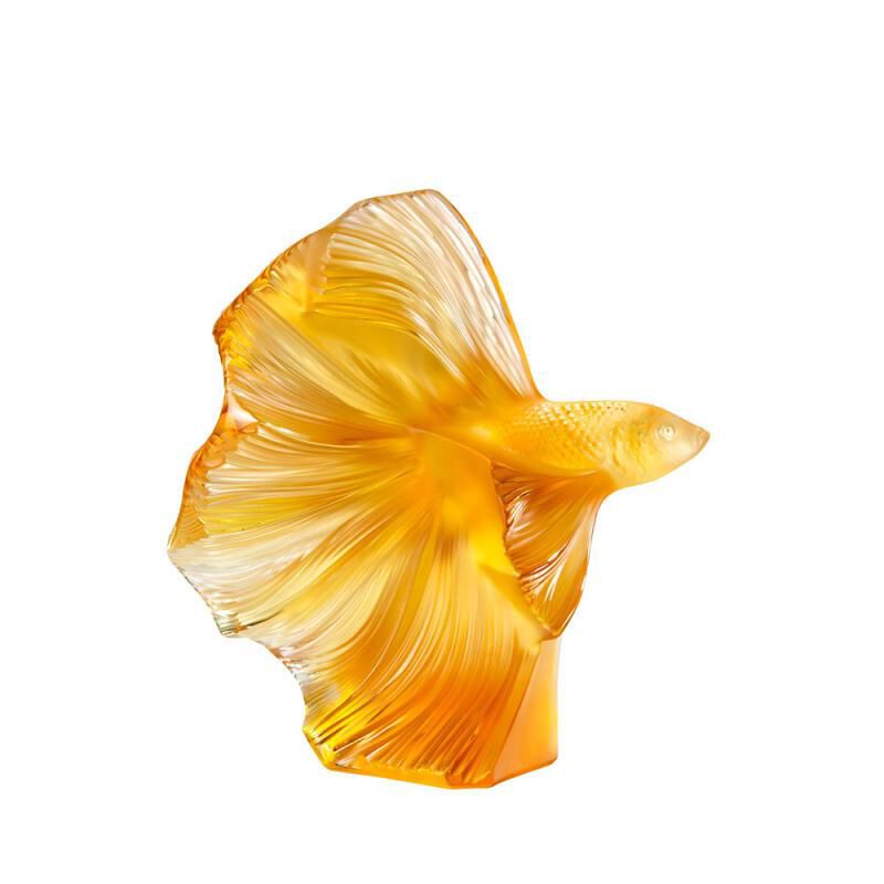 Fighting Fish Fighting Fish, large