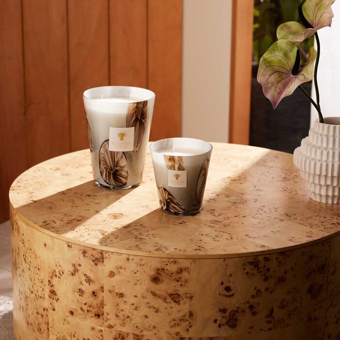 baobab collection oceania anangu candle max 16