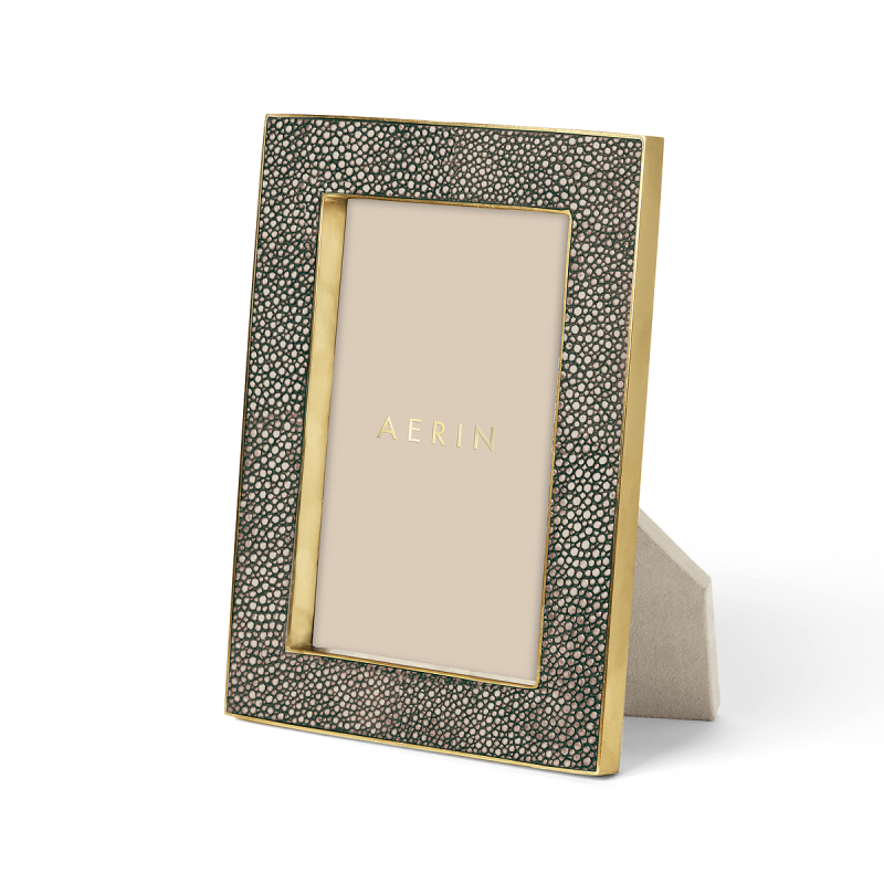 Shagreen Frame aerin shagreen frame