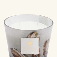 Oceania Anangu Candle Max 10 baobab collection oceania anangu candle max 10