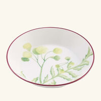 ginori 1741 florenza acanto impero tea cup saucer green