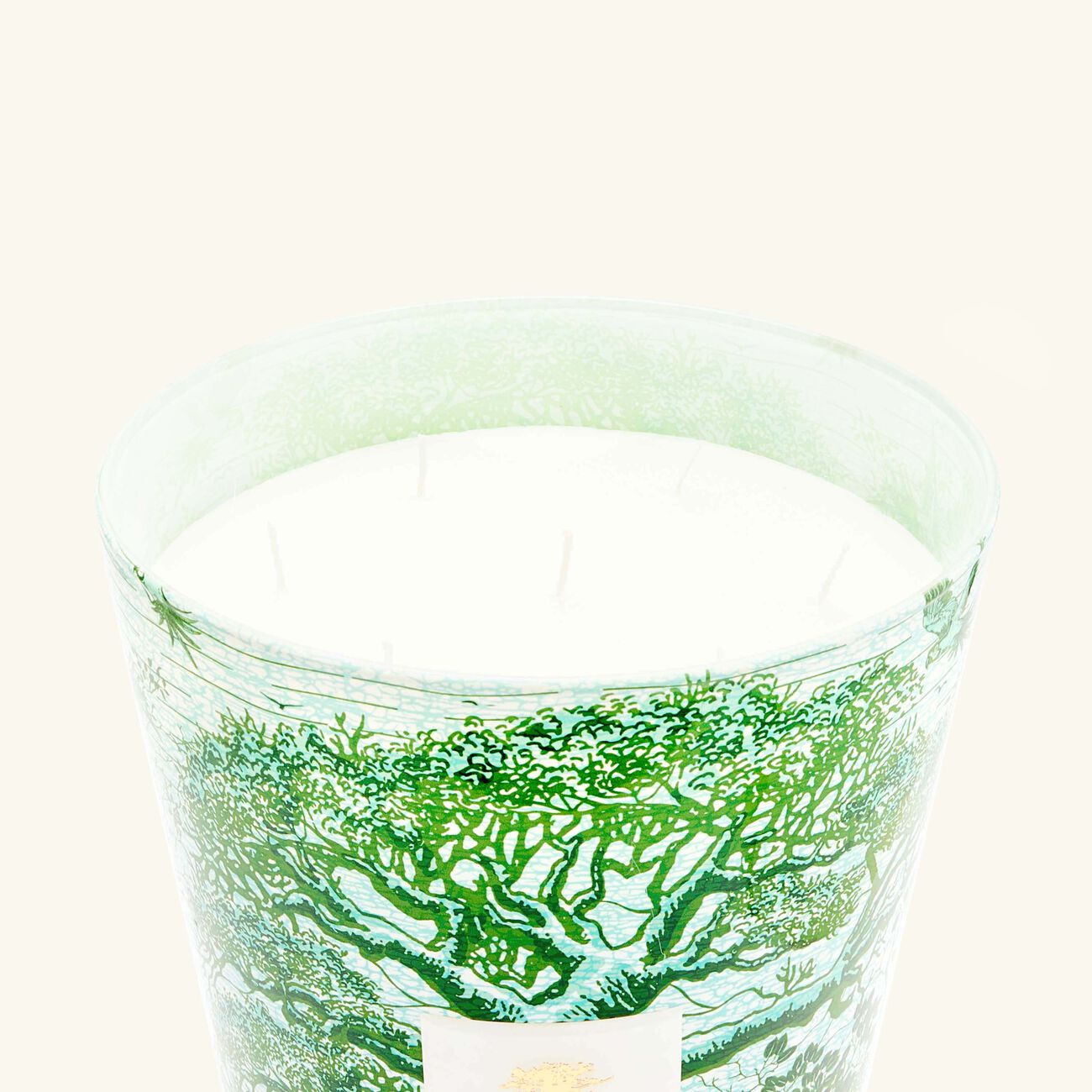 baobab collection sacred trees kamalo candle maxi max