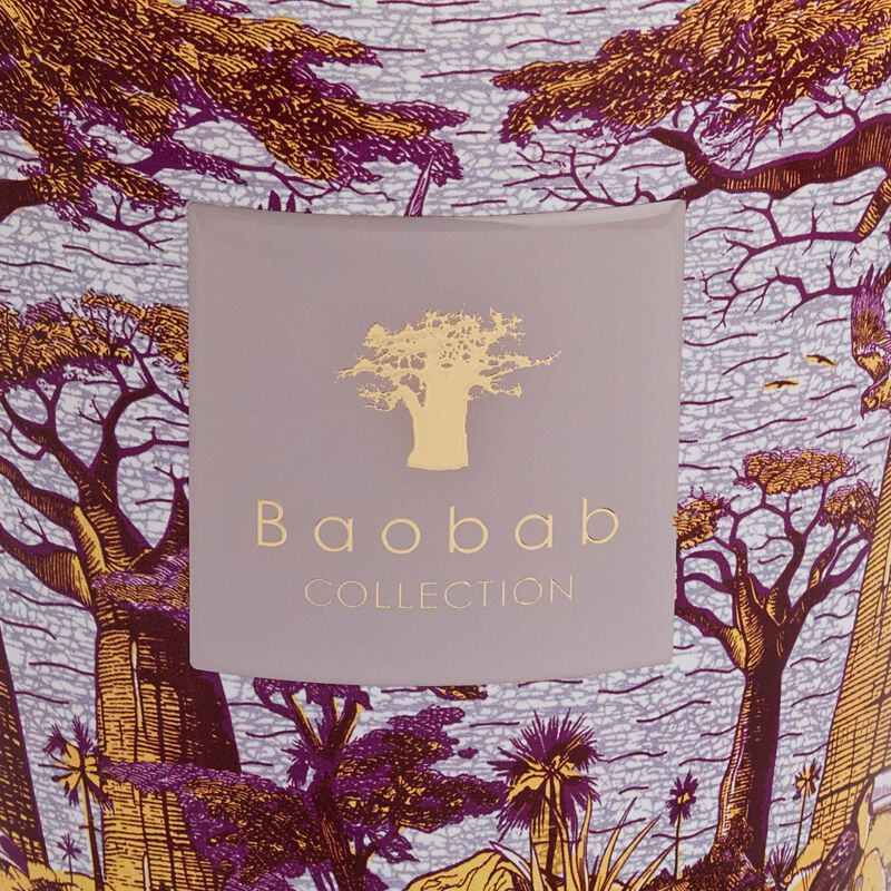 Sacred Trees Massasso Candle Max 24 baobab collection sacred trees massasso candle max 24