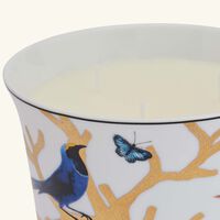 bernardaud aux oiseaux candle