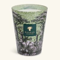 baobab collection sacred trees touba candle max 24