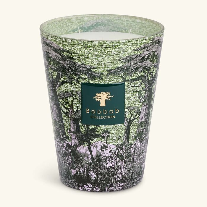 baobab collection sacred trees touba candle max 24