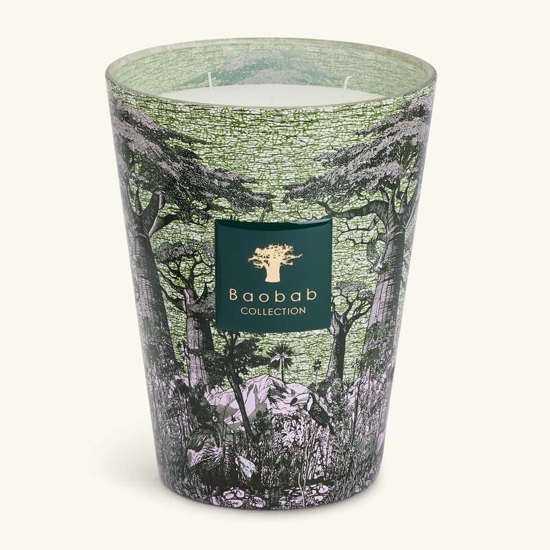 baobab collection sacred trees touba candle max 24