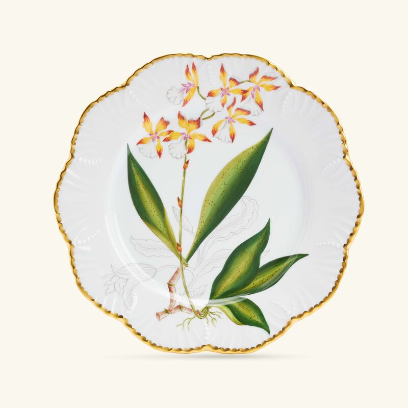 pinto paris histoires d orchidees dinner plate round green 26cm