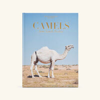 assouline camels from saudi arabia classic book 33x25cm