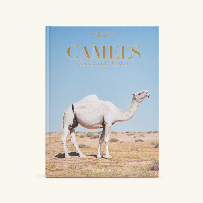 Camels from Saudi Arabia Classic Book 33x25cm