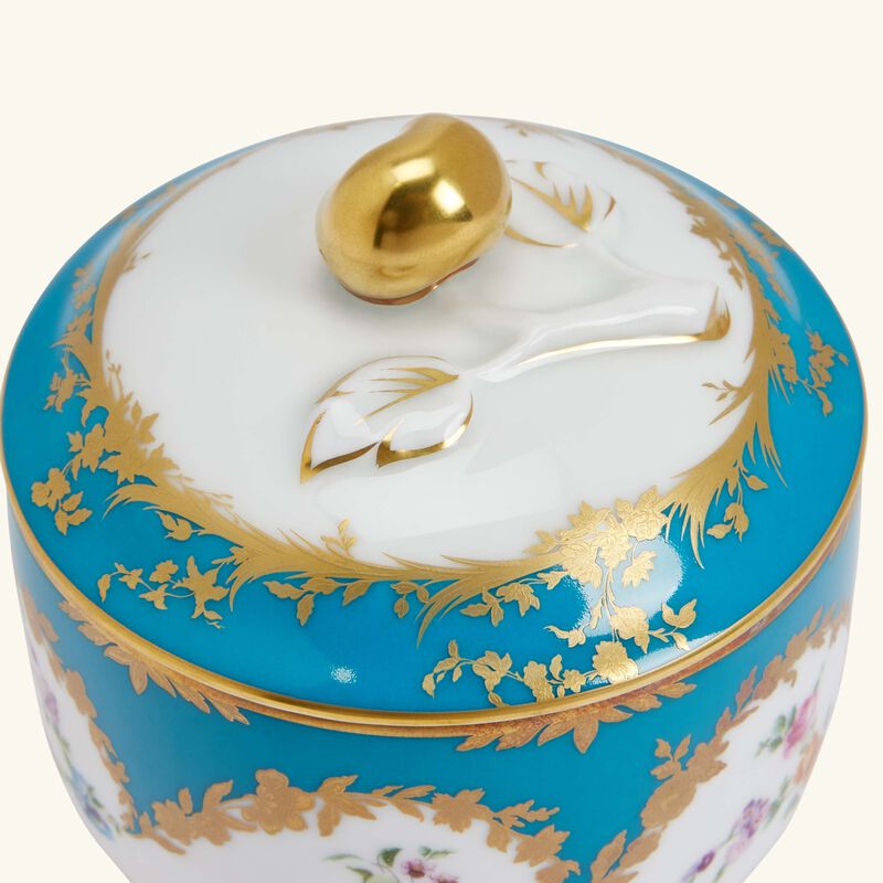 سكرية سيكل زرقاء برناردو سكرية سيكل زرقاء