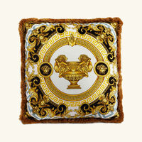 versace la coupe des dieux pillow