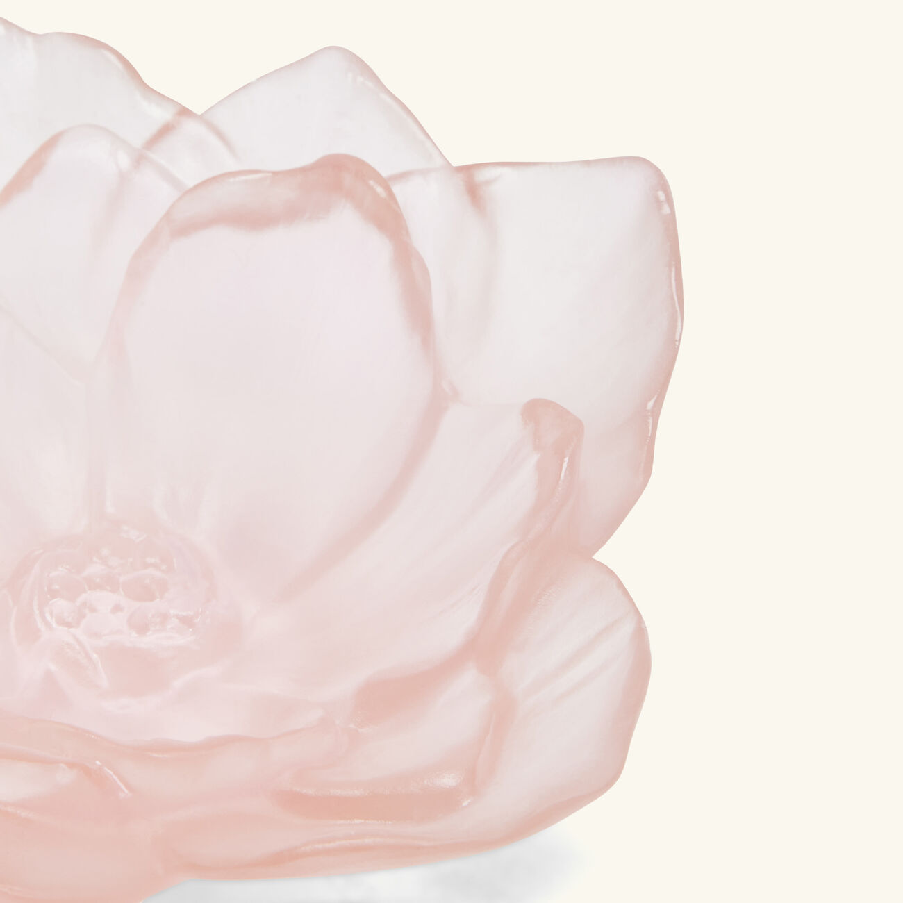 daum camellia centerpiece pink