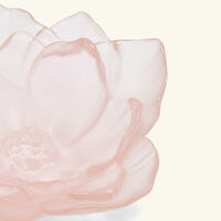 daum camellia centerpiece pink