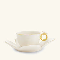 villari butterfly tea cup saucer white