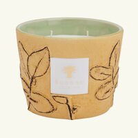 Folia Garrigue Candle Max 10 baobab collection folia garrigue candle max 10