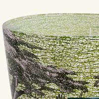 baobab collection sacred trees touba candle max 35