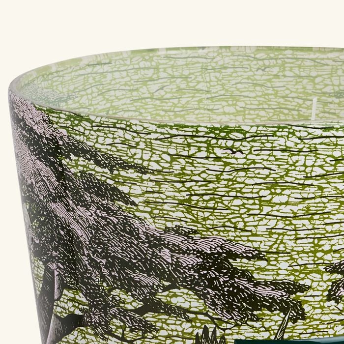 baobab collection sacred trees touba candle max 35