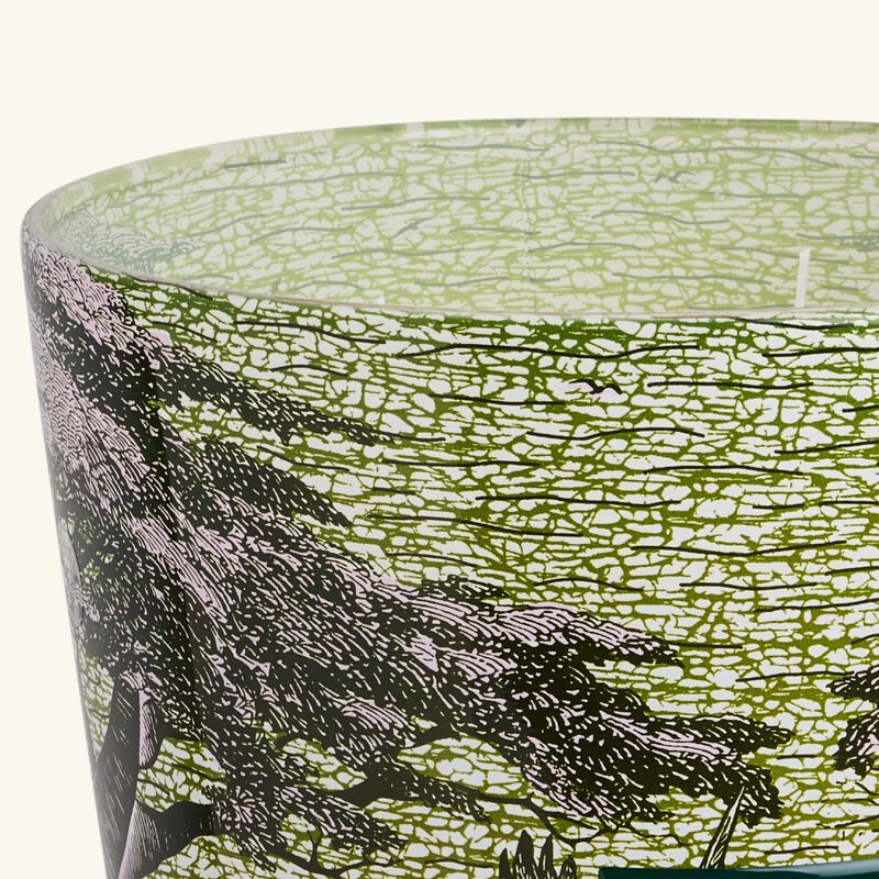 baobab collection sacred trees touba candle max 35