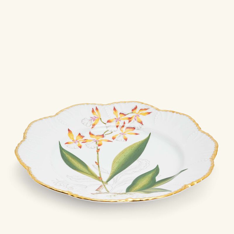 pinto paris histoires d orchidees dinner plate round green 26cm
