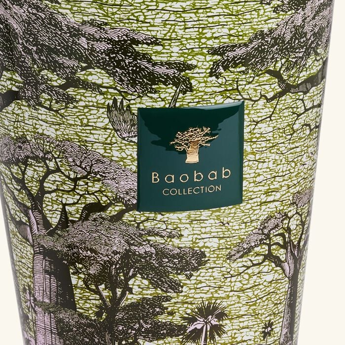 baobab collection sacred trees touba candle max 35