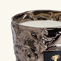 baobab collection brame cernunnos candle max 24
