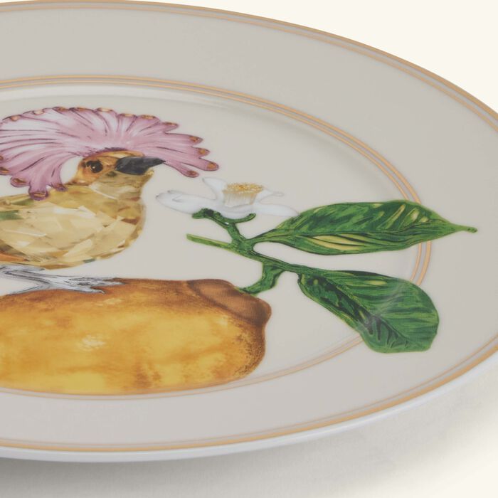 روزنتال طبق آيديليا المستدير للخبز والزبدة   18 سم   مزيّن بنقش على شكل طائر جميل