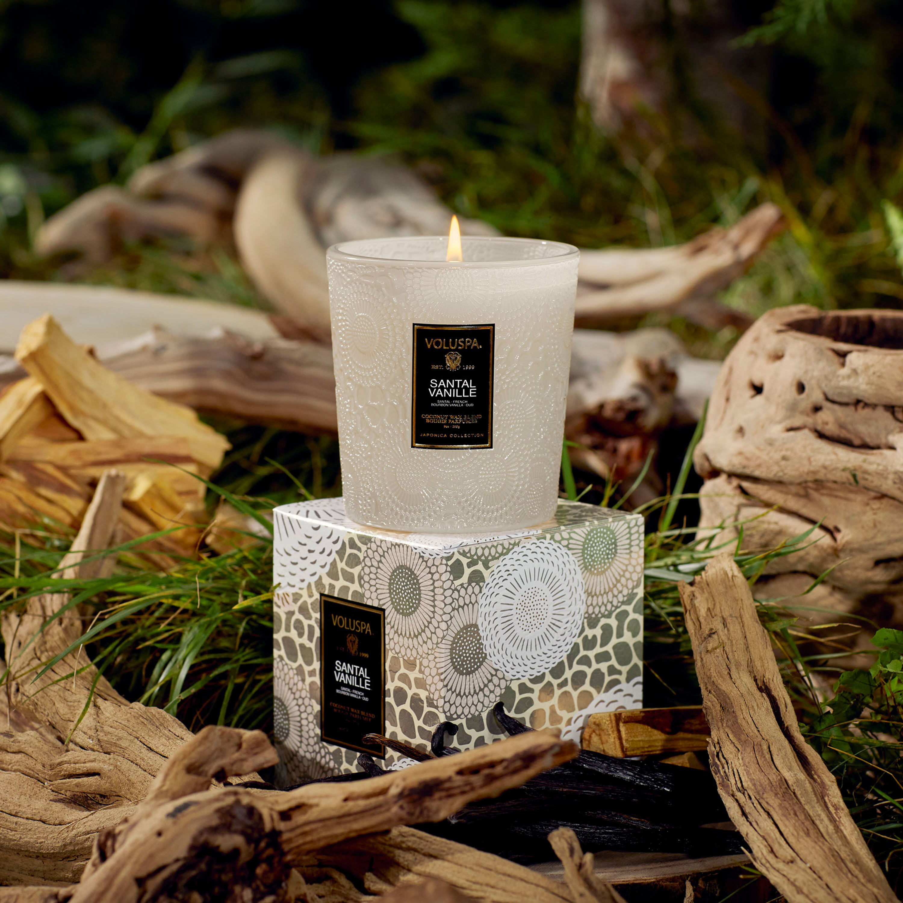 Vanille santal hot sale