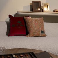 etro arnica embroided cushion brown