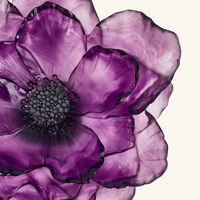 daum camellia centerpiece pink
