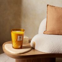 baobab collection palma candle max 24