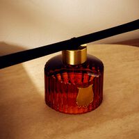 trudon altair diffuser 350 ml