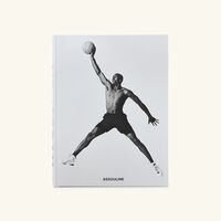 Air Jordan Classic Book 10x13cm assouline air jordan classic book 10x13cm