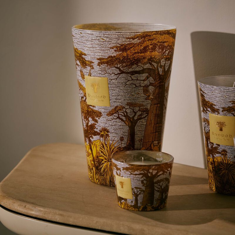 Sacred Trees Cocody Candle Max 35 baobab collection sacred trees cocody candle max 35