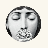fornasetti tema e variazioni no 393 wall plate
