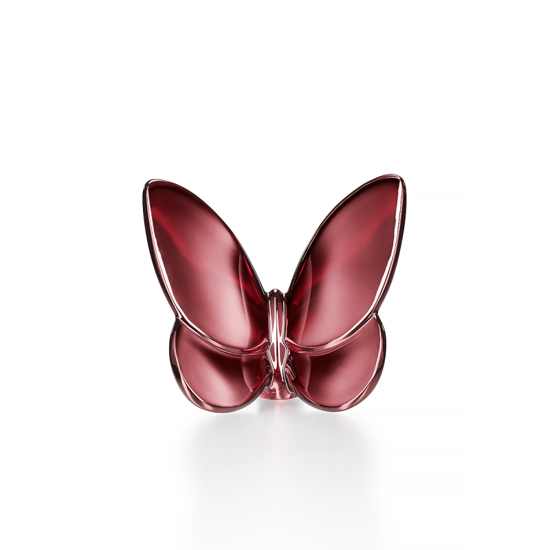 Lucky Butterfly Lucky Butterfly, large