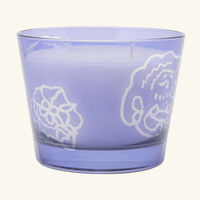 baobab collection collectible roses dark parma candle max 10