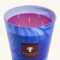 baobab collection atlas majorelle max 24 candle