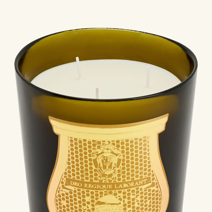 trudon ernesto candle 800g