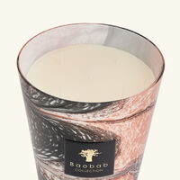 baobab collection delta zamb ze candle max 24