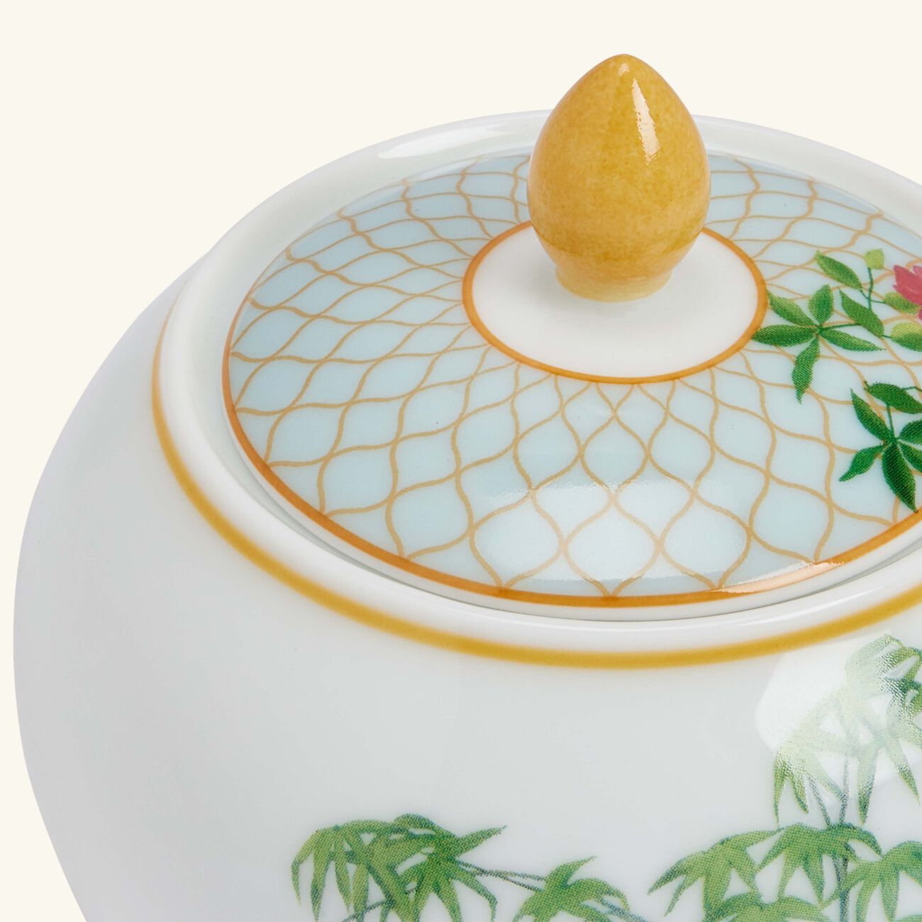 برناردو سكرية تروبيك زرقاء