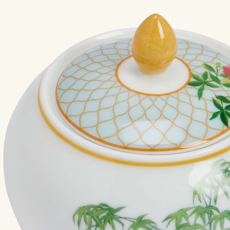 برناردو سكرية تروبيك زرقاء