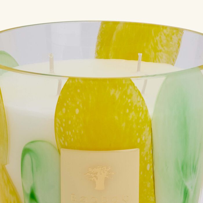 baobab collection riviera santo sospir candle max 16